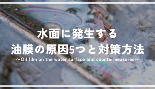 メダカ飼育で水面に発生する油膜の原因5つと簡単に出来る対策方法